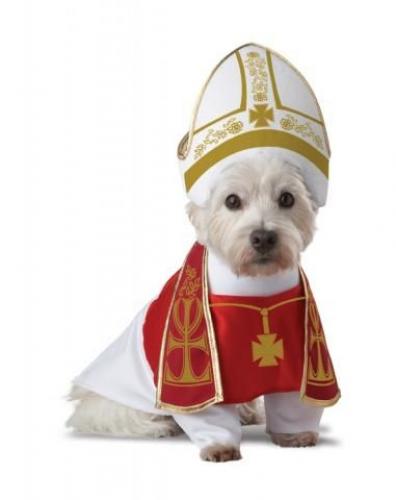 Костюм Папы Римского для собаки - купить 